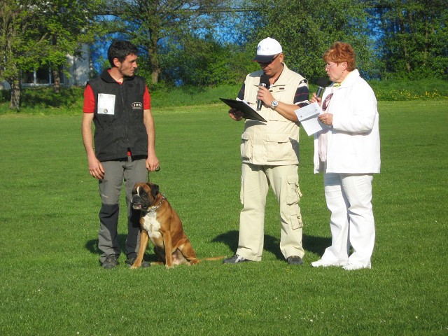 www.atibox.net * www.euroboxer.eu * www.boxergenealogia.eu